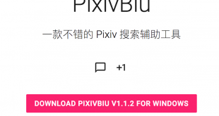 怎么上p站？用PixivBiu-一款Pixiv搜索辅助工具插图