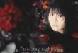 Aimer「春はゆく」 Fate/HF第3章主题歌MV公开插图